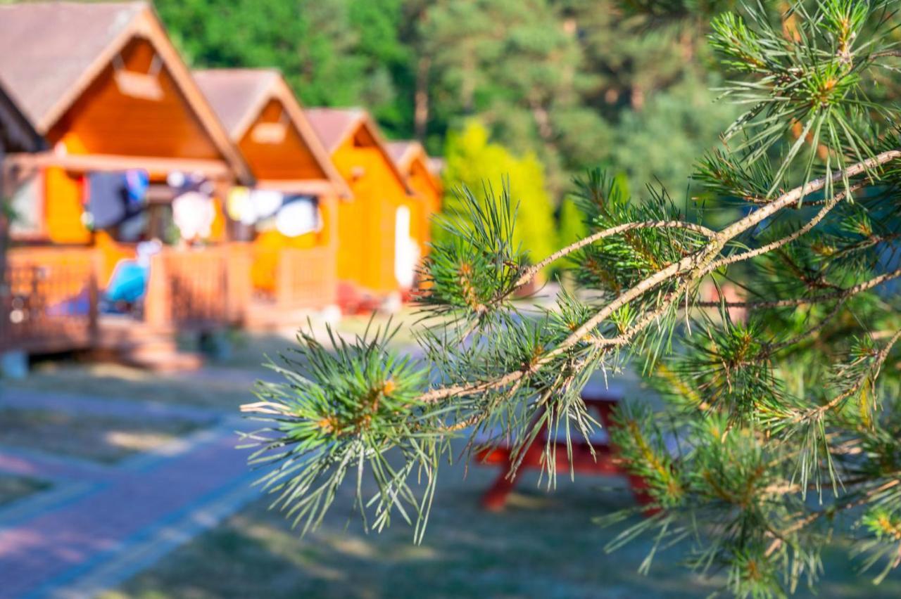 Domki Letniskowe I Pokoje Savana Nad Morzem Jarosławiec Exteriér fotografie